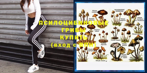 стафф Бронницы