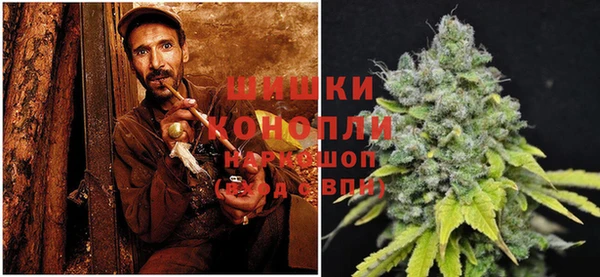 стафф Бронницы