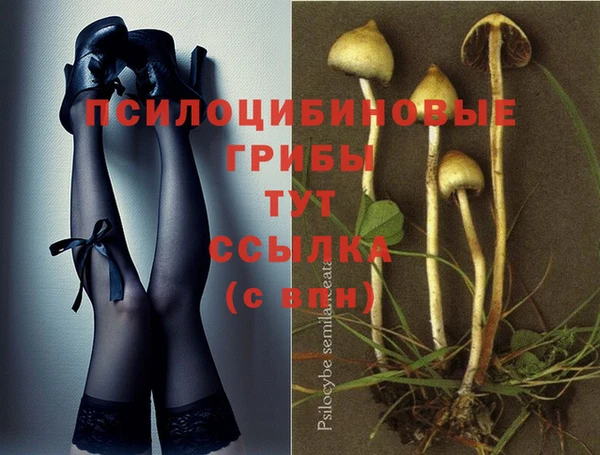 мескалин Бородино