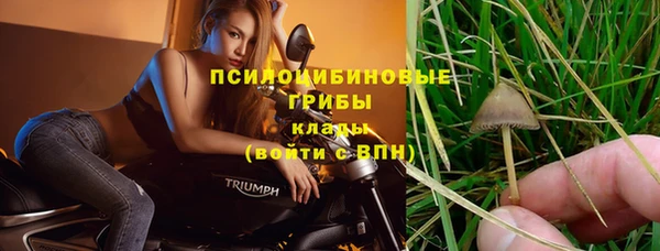мескалин Бородино
