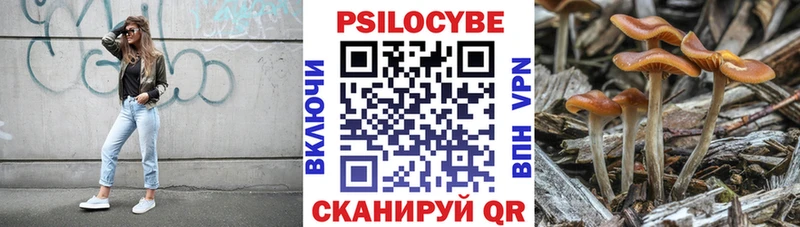Галлюциногенные грибы Cubensis  Купить закладки  Лосино-Петровский 